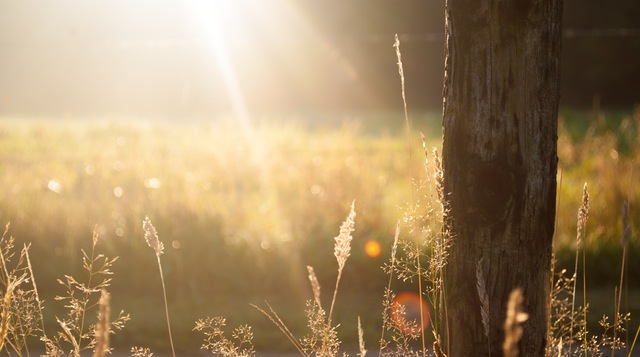 Stress and Hormone Balance